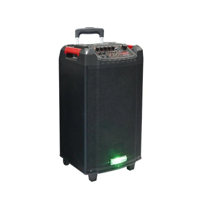 10 Inch Bt Portable Double Trolley Party Speaker with Remote USB Function LED Lighting Speaker