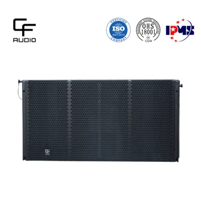 Dual 18-Inch High Power Vented Sub Bass Professional Line Array Subwoofer for Bars Theaters