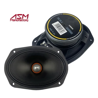 300 W 6inch*9 Inch PRO Audio Midrange Car Speaker