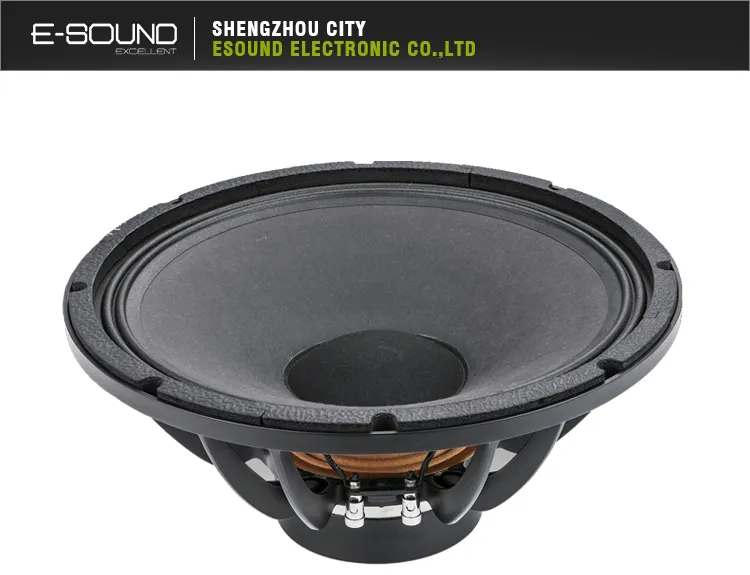 High Quality Midrange Speaker 12ndl76