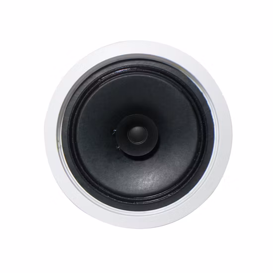 High Quality Professional Audio 8 Ohm PA Speakers for Midrange of 6 Inch&nbsp;