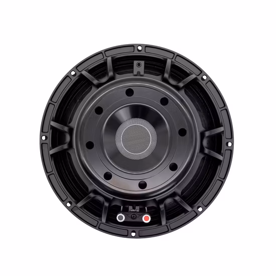 Big Power 12 Inch Car Subwoofer in Car Audio with Car Race Speakers