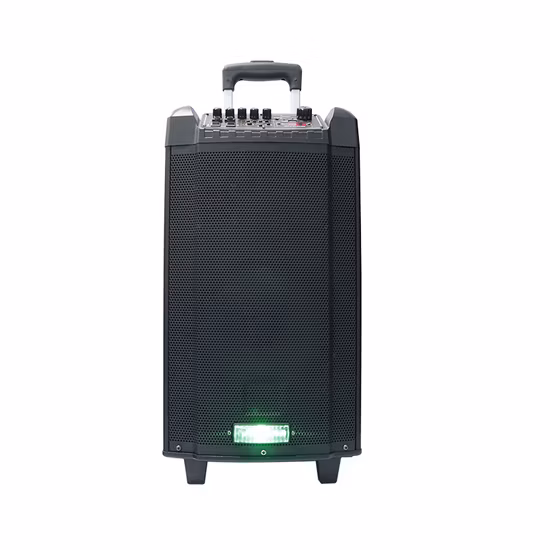 Temeisheng Manufacturer 10 Inch Subwoofer Big Powered HiFi Portable Wireless Bluetooth Bt PA Outdoor DJ Bass Party Speaker Tms-1001A