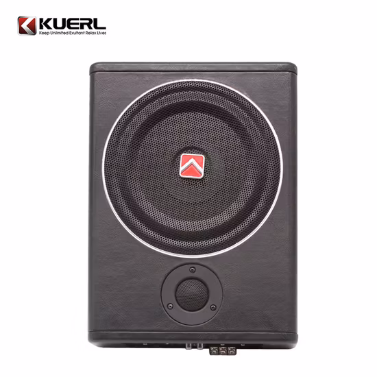 Portable 12V Mini High Power Under Seat Car Subwoofer Active Car Audio Slim 8 Inch Subwoofer