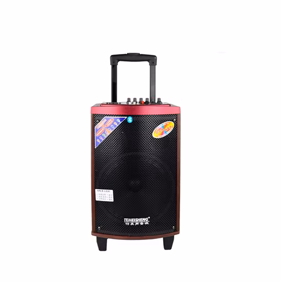 150W Wooden Karaoke System Super High Power Output Speakers 10 Inch Woofer with Tweeter Large Speakers Bluetooth Wireless