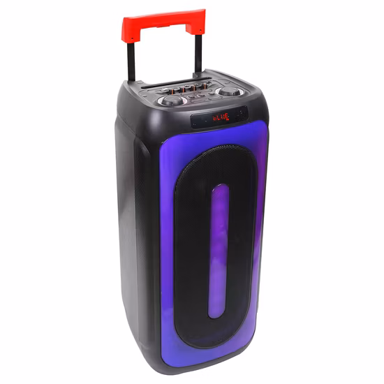 Diamond Audio Factory New Popular Wooden Party Wireless Speaker with Double 10 Inch Woofer