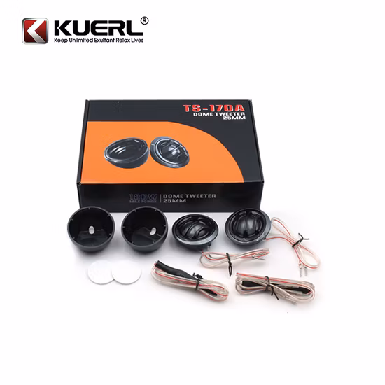 Fbs130W-2 High Sensitivity 4ohm Speaker Super Tweeter Loud Speaker (FBELE)