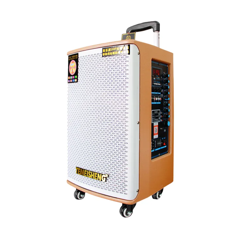 15 Inch Woofer Portable FM Radio Bluetooth Wireless Outdoor Speaker