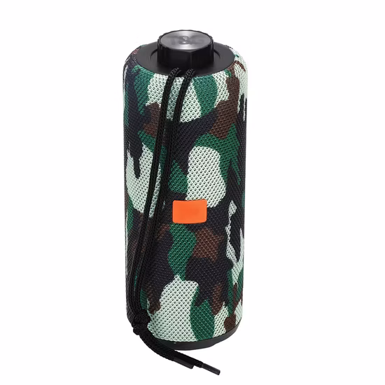 8 Inch Woofer with Tweeter 100W 12V Rechargeable Speakers Bluetooth Wireless Portable Speakers with Attractive LED Light