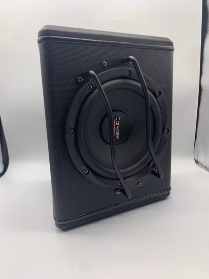 1200W Car Subwoofer Strong Car Speaker 10 Inch Subwoofer Built in Amplifier