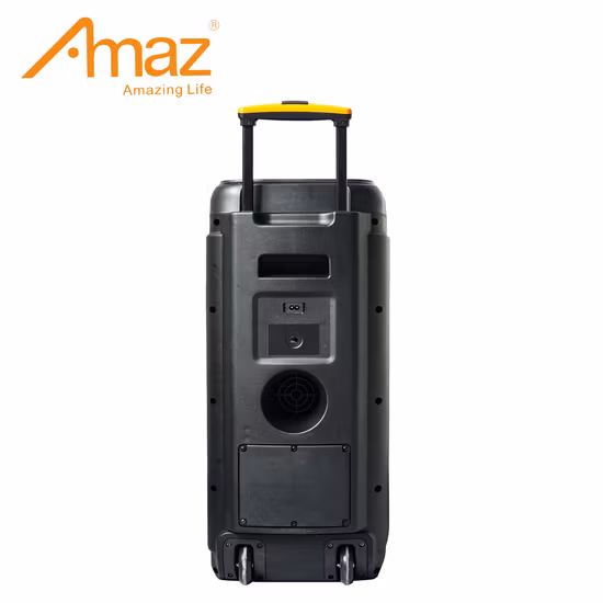 Amaz Cheap Price OEM Dual Woofer Bluetooth Rechargeable Trolley Speaker