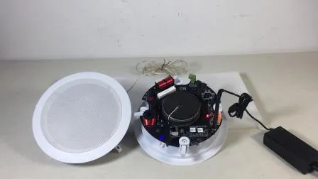 6 Inch 4*30W in Ceiling Speaker Wireless WiFi Coaxial Ceiling Speaker